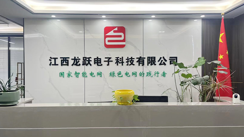 Jiangxi Longyue Electronic Technology Co., Ltd.